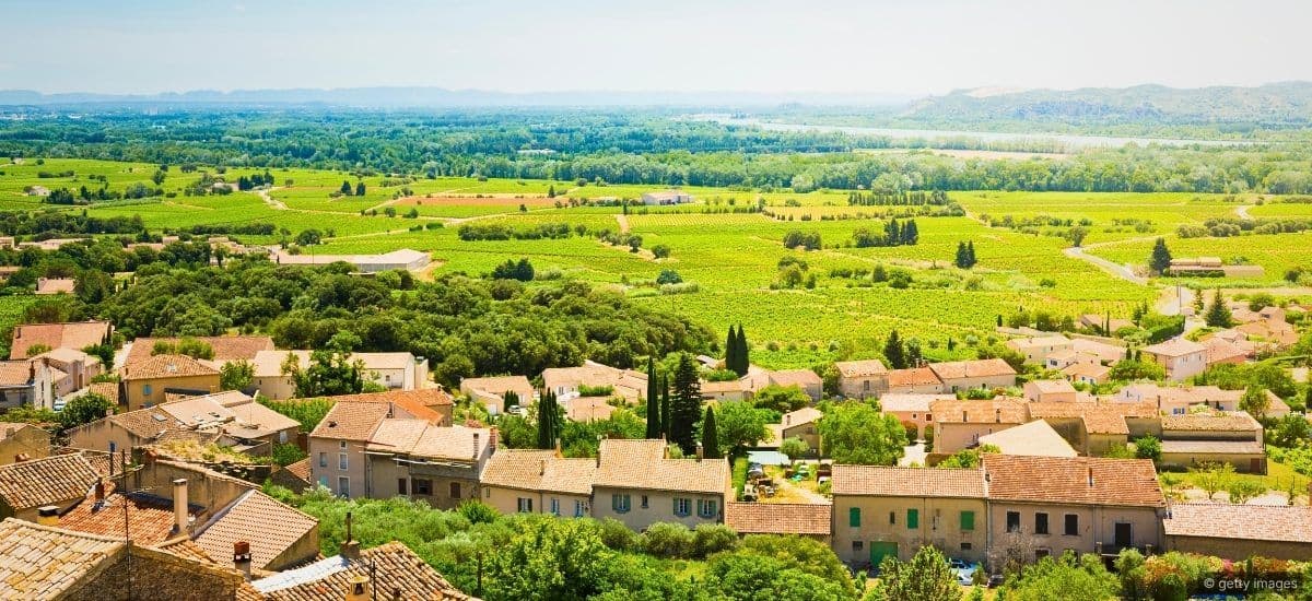 looking over the rhone valley vineyards