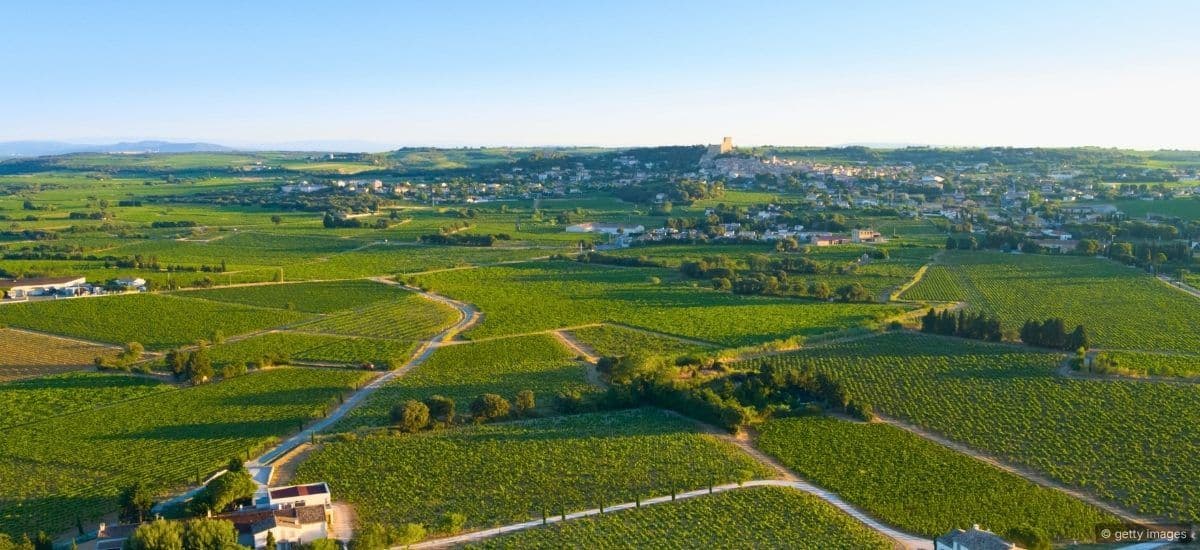 the vineyards of chateauneuf-du-pape in france
