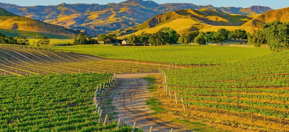 the santa ynez valley in santa barbara county