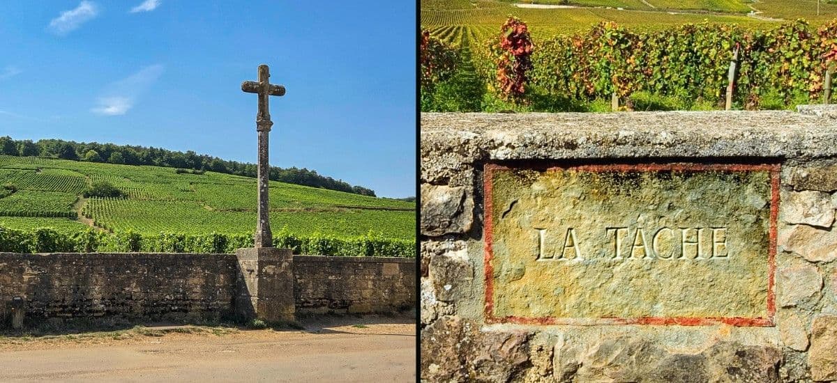 drc grand cru vineyards burgundy