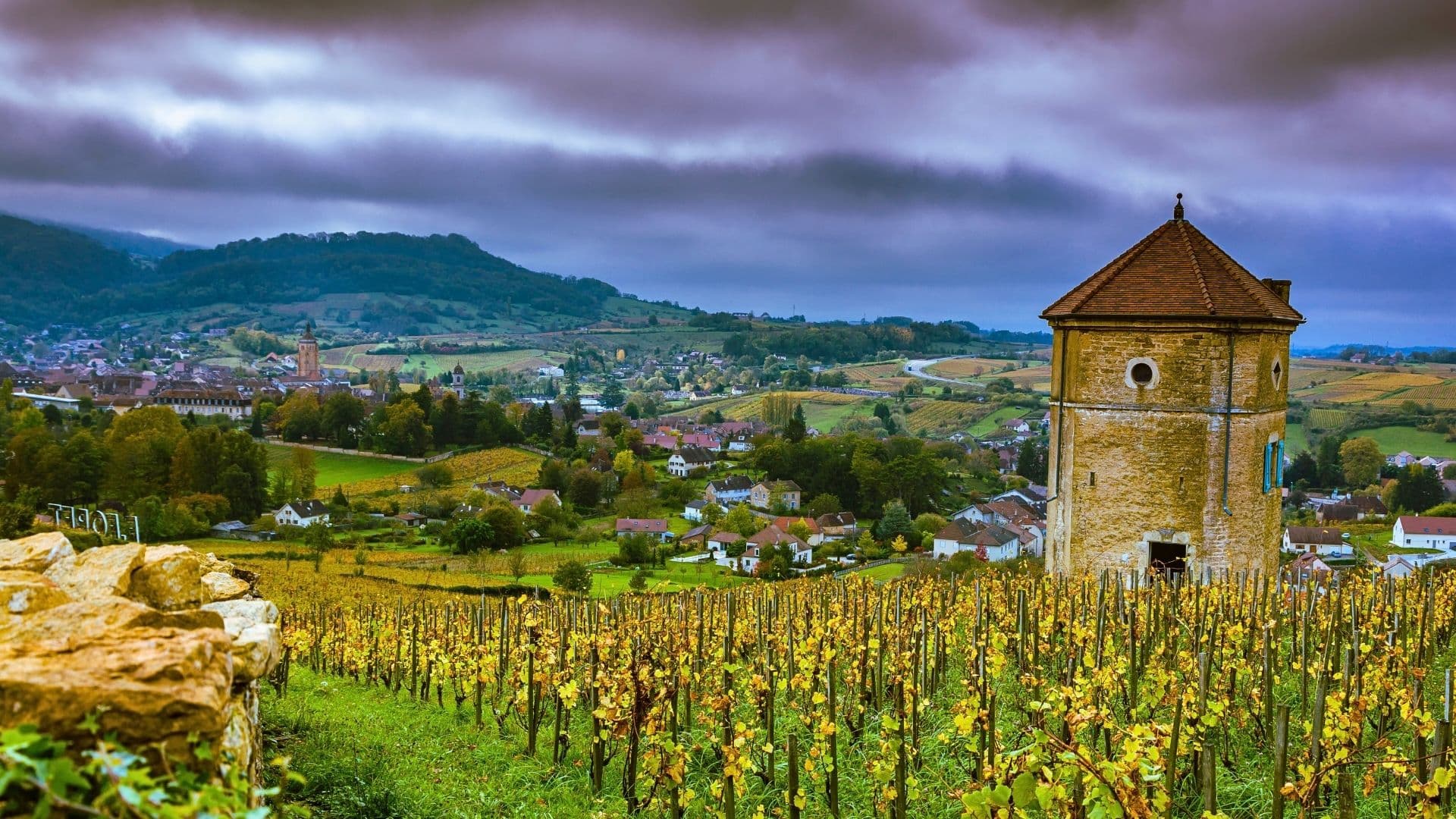 the jura wine region of france and its vineyards