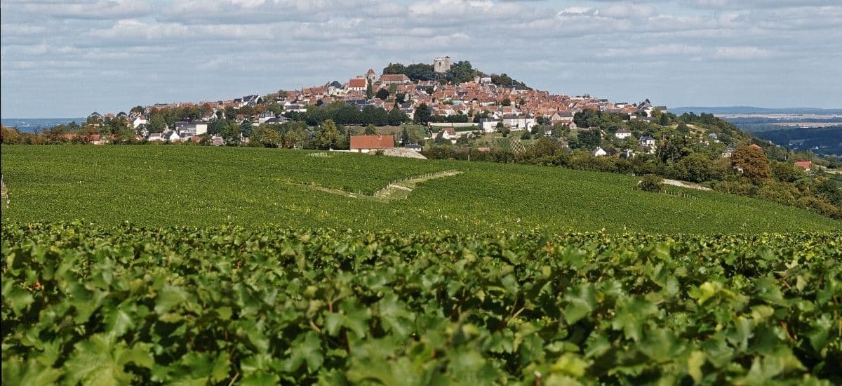 sancerre loire valley france vineyard