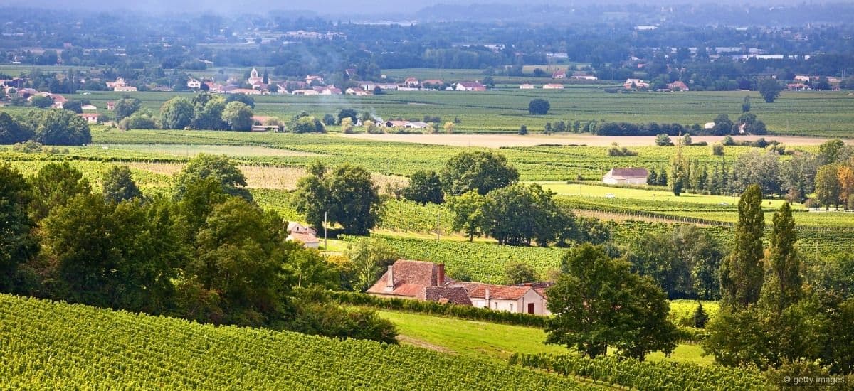southern france and the vineyards