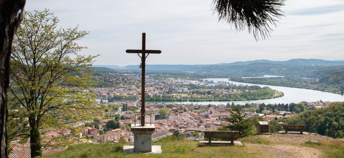 condrieu vineuard in the rhone valley of france