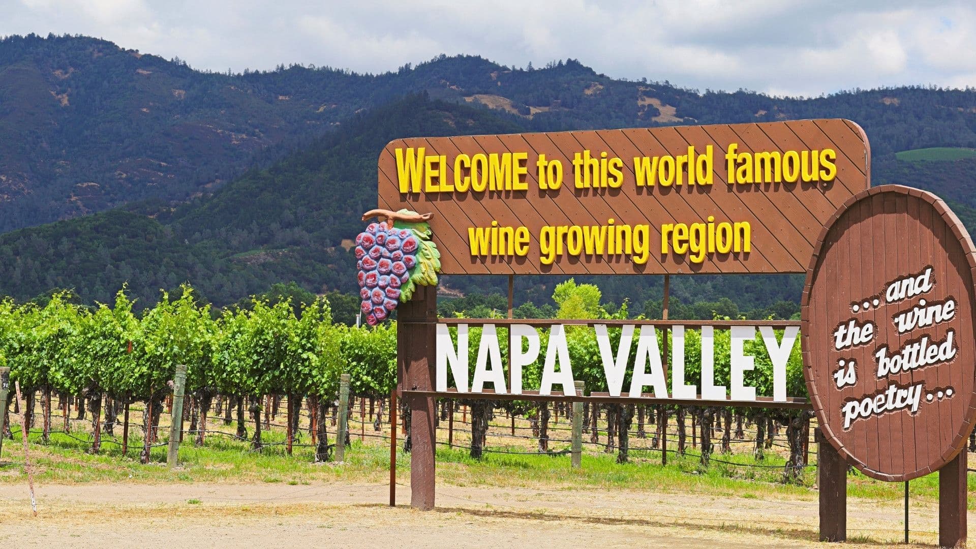 napa valley wine region