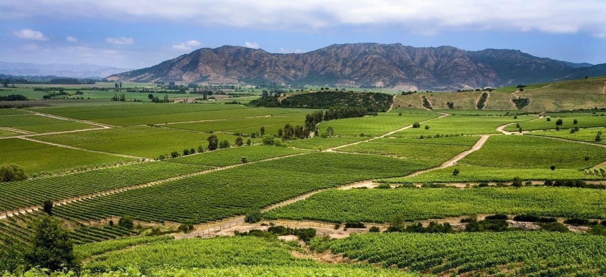 colchagua valley in chile is a major wine producing area