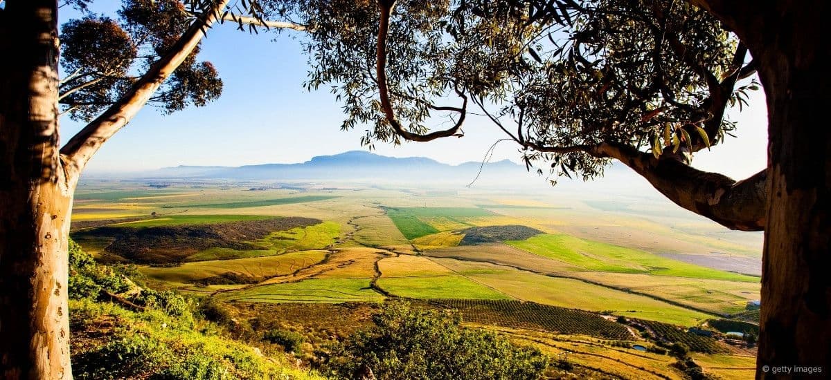 swartland of south africa
