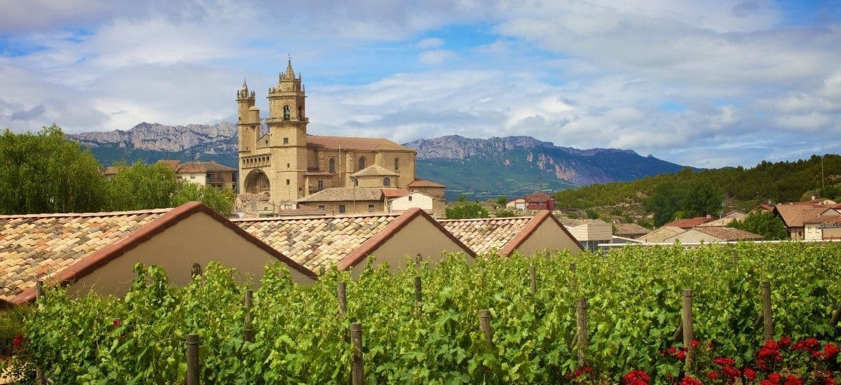 rioja wine tempranillo grape