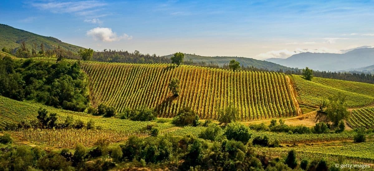 valparaiso in chile and the hillside vineyards of the region