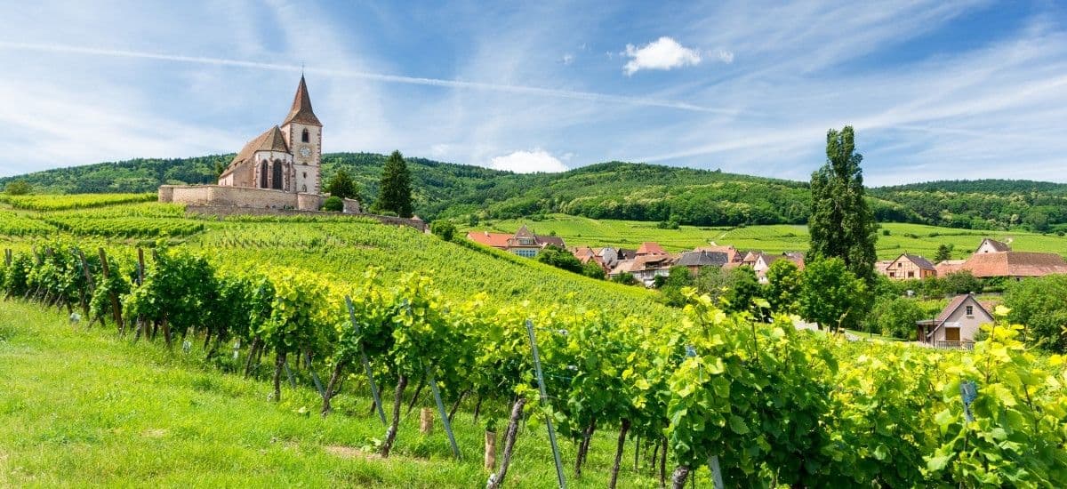 Alsace wine route