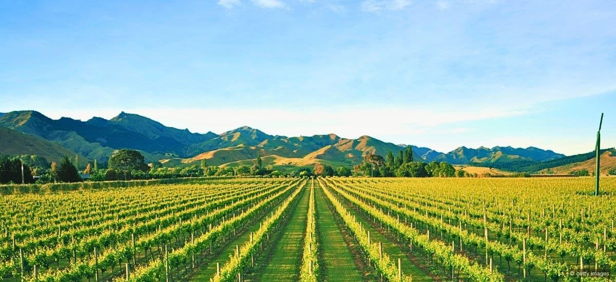 marlborough region of new zealand