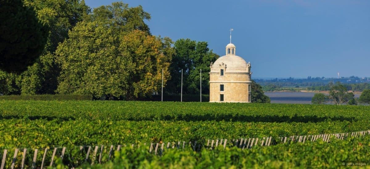 latour first growth of bordeaux