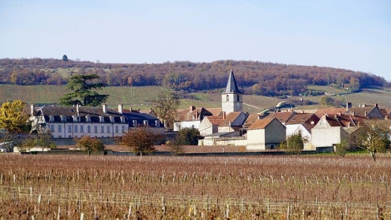 grand cru chardonnay