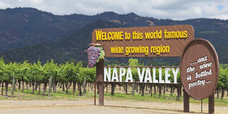 More New World Wines